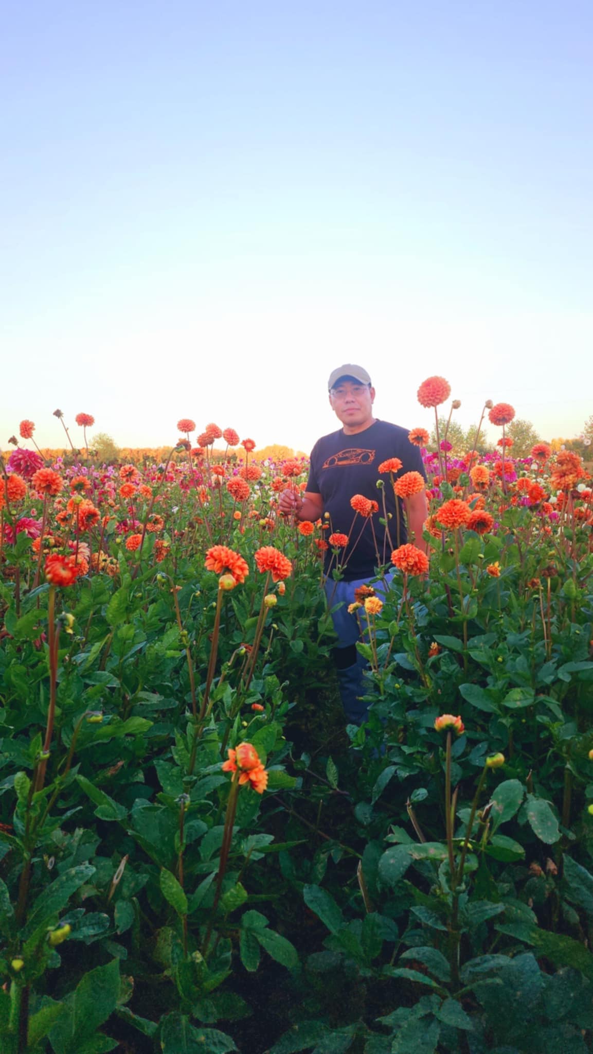 DAHLIAS R US