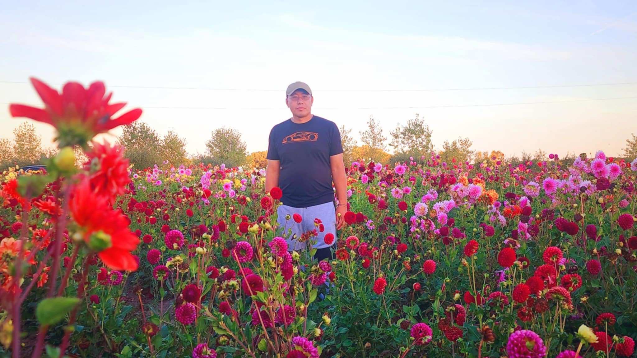DAHLIAS R US