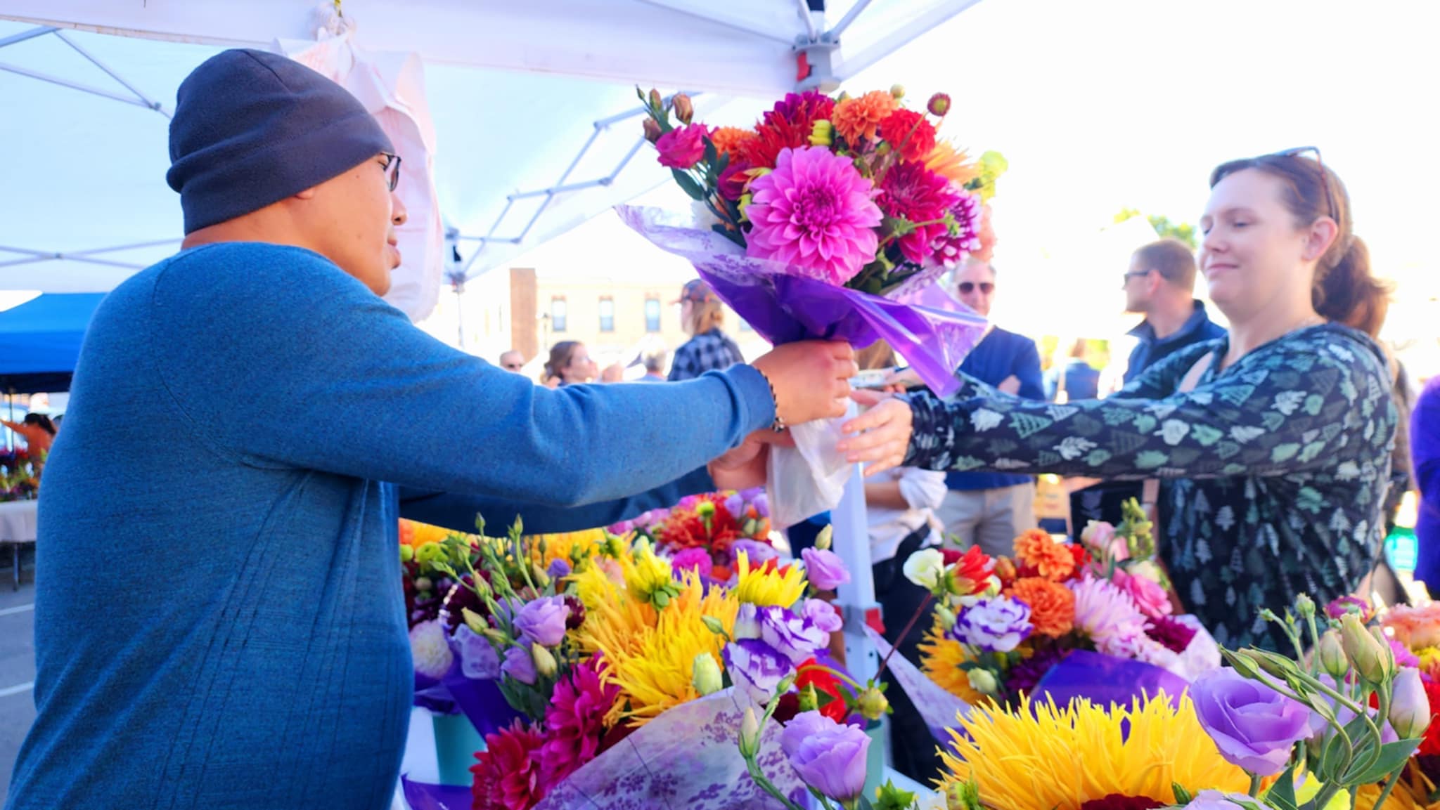 DAHLIAS R US