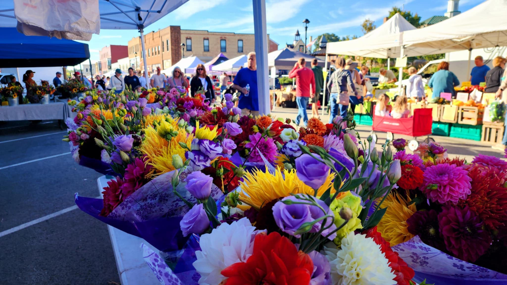 DAHLIAS R US